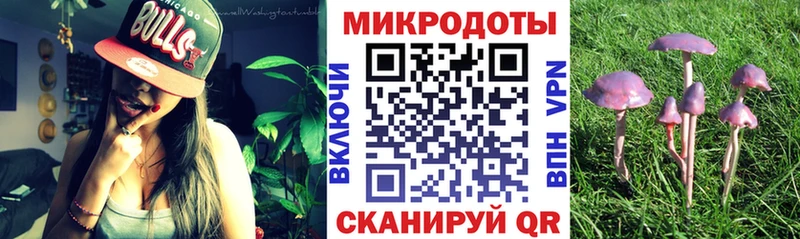 дарк нет как зайти  мега зеркало  Псилоцибиновые грибы Psilocybine cubensis  Комсомольск-на-Амуре  купить  сайты 
