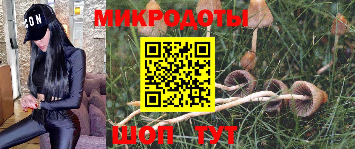 Галлюциногенные грибы ЛСД Комсомольск-на-Амуре