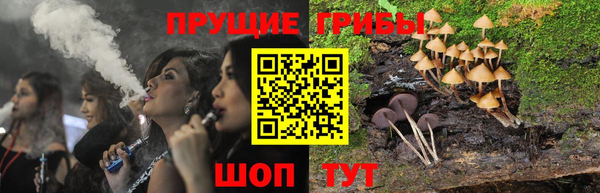 Галлюциногенные грибы Psilocybe  Вход с VPN  купить  сайты  Комсомольск-на-Амуре 